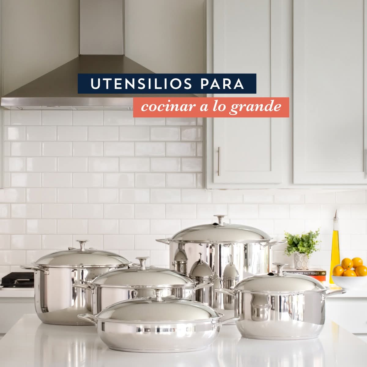 Producto Rena Ware